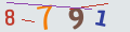 verifycode